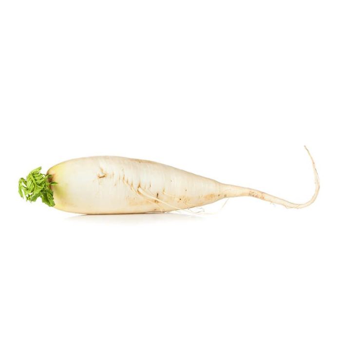 Daikon Radish