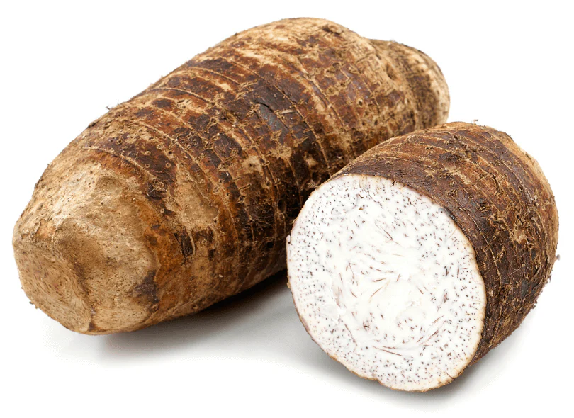 Taro (Malanga) 