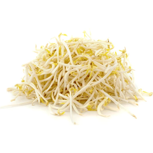 Bean Sprout