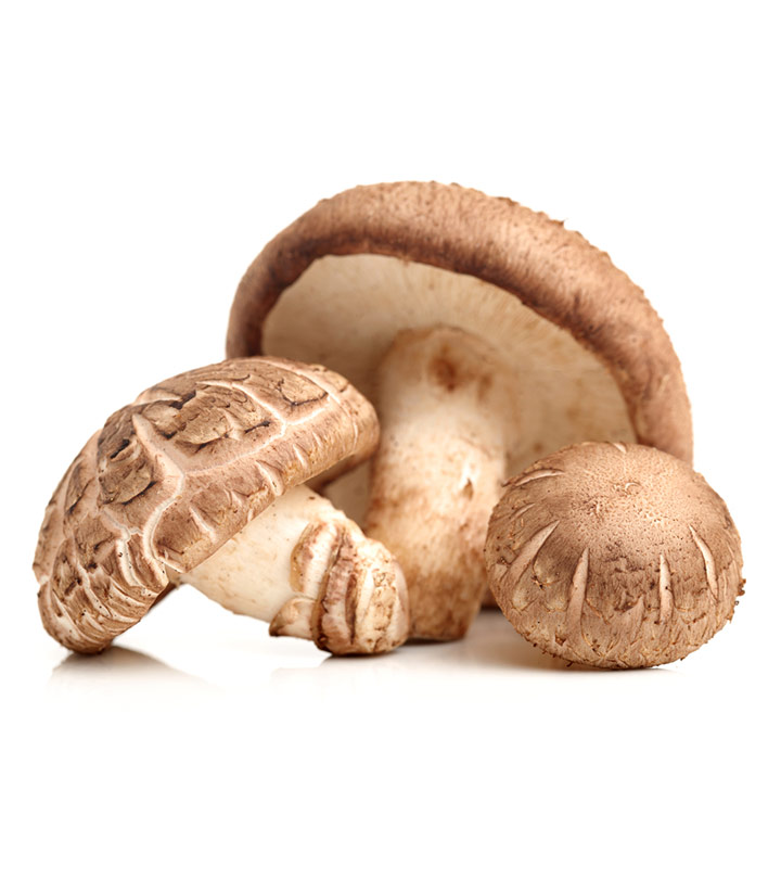 Fresh Shiitake Mushroom