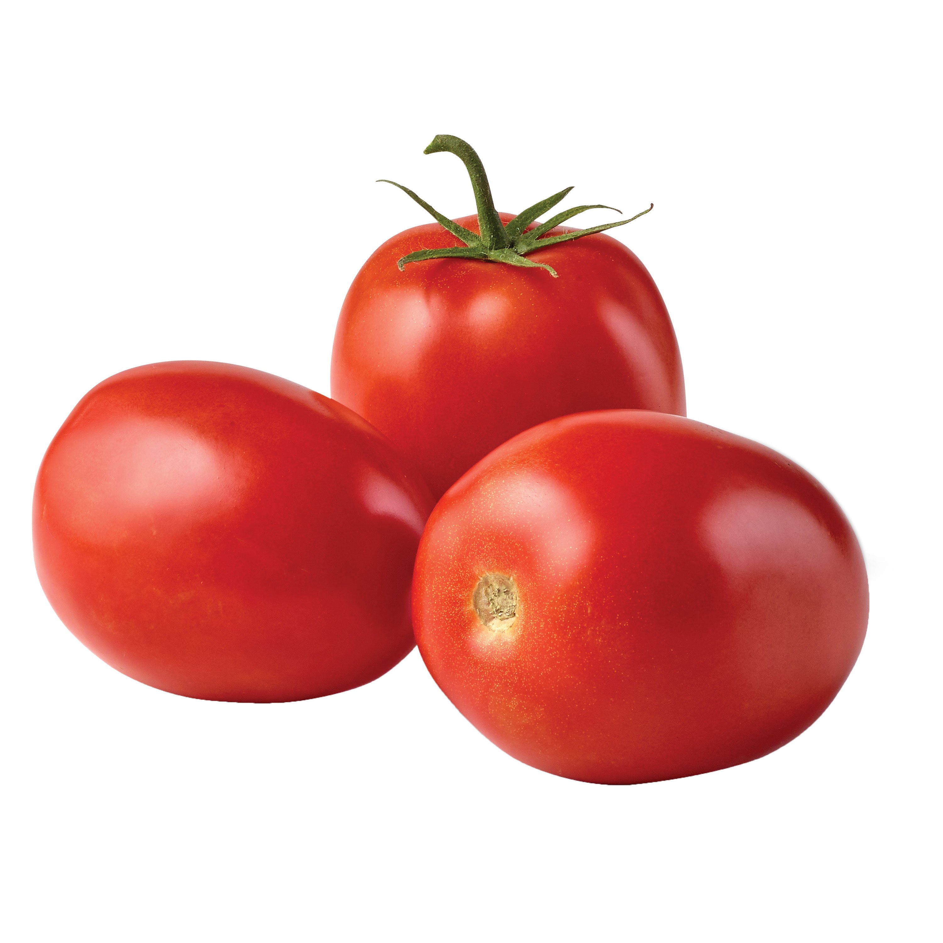 Roma Tomato