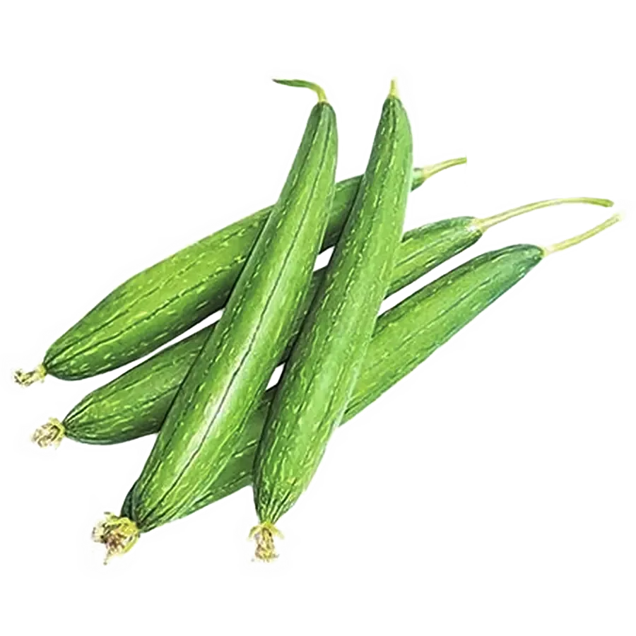 Sponge Gourd