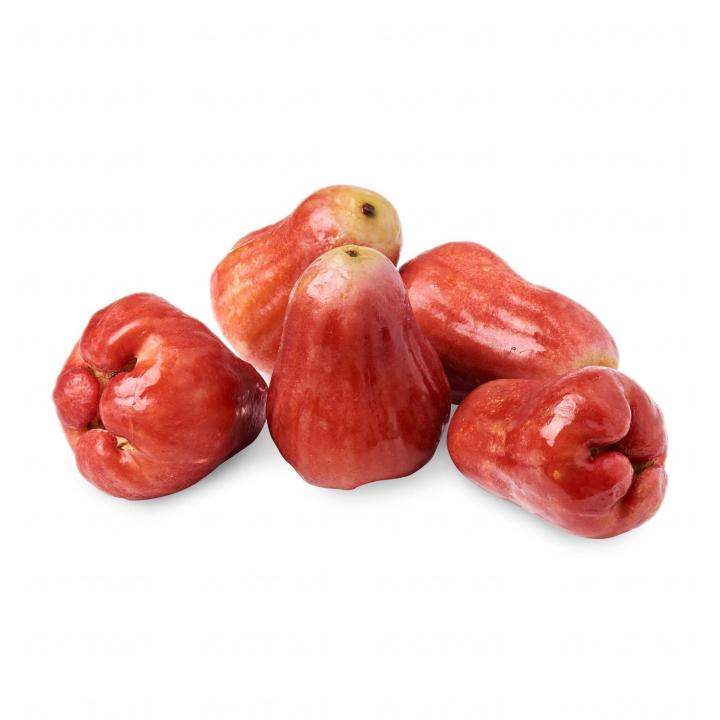 Jambu Wax Apple