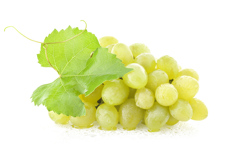 Sweet Baby Grapes