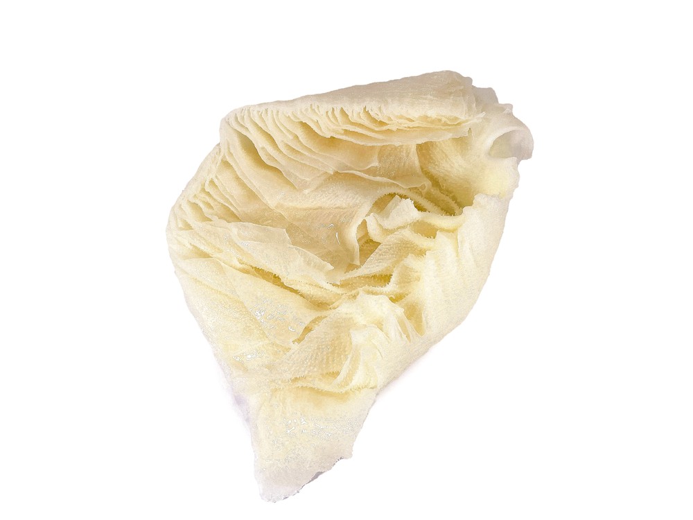 Fresh Beef Omasum Tripe 