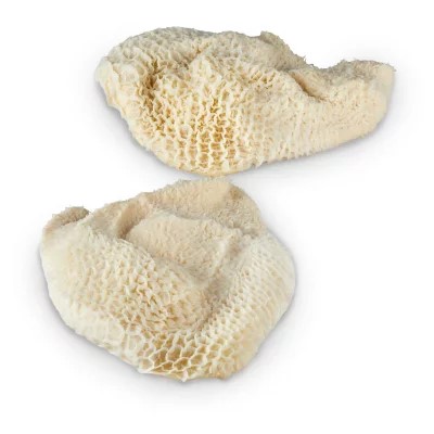 Fresh Beef Honeycomb Tripe 