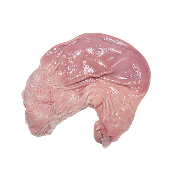 Pig Stomach 
