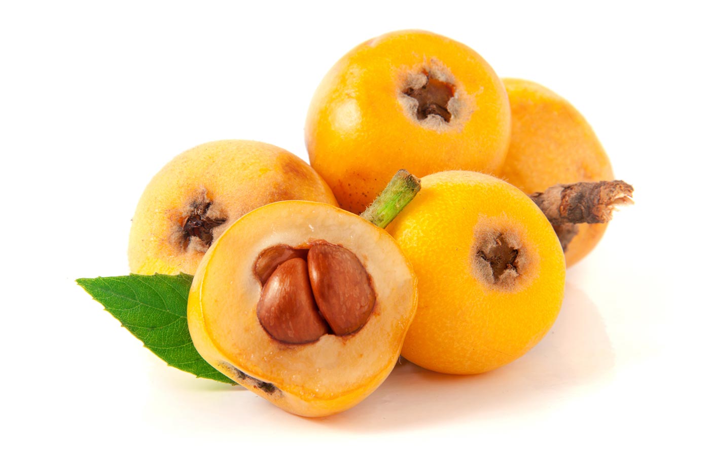 Ruchey Loquat