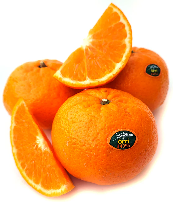 Orri Mandarin