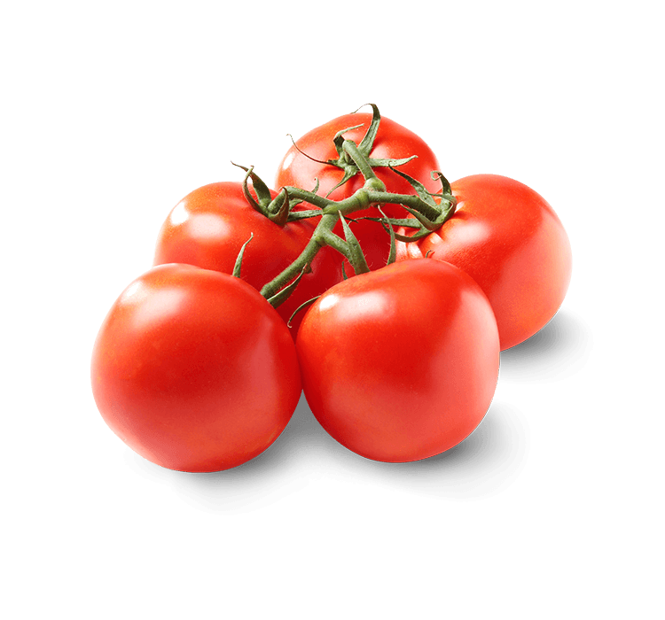 Tomato on Vine