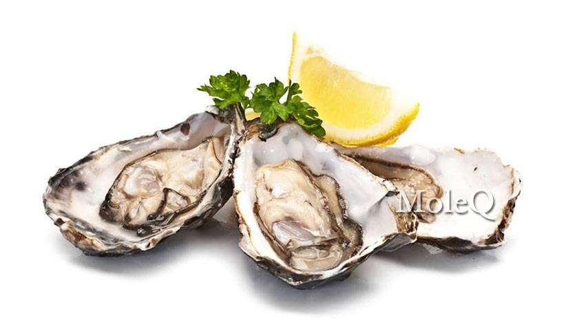 Oyster