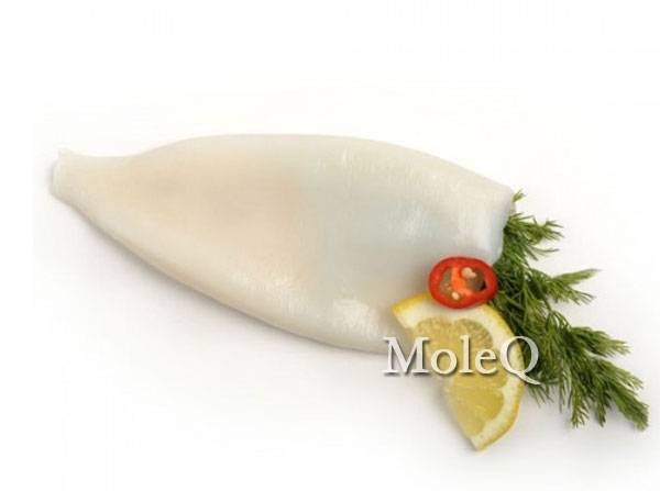 U5 Squid Tube
