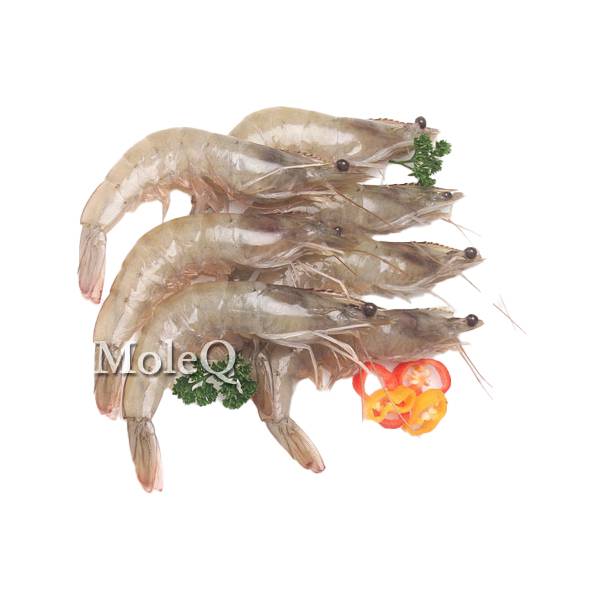 Fresh Water Shrimp (2 Lb.)
