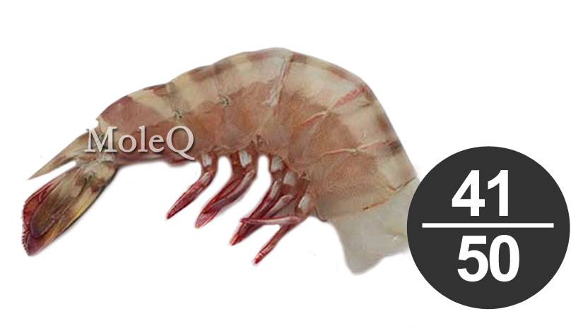 41/50 Headless Shrimp (4 lb.)