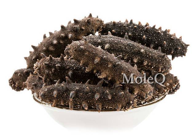 Wild Sea Cucumber Meat